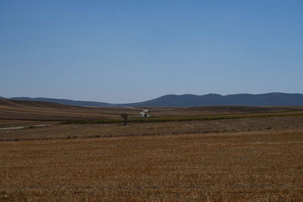 Ahmetadil Mahallesi'nde Yola Cepheli 480 m² Konut İmarlı Arsa