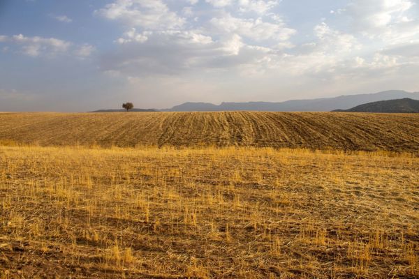 Baraj'de 3.400 m² Yola Cepheli Tarla