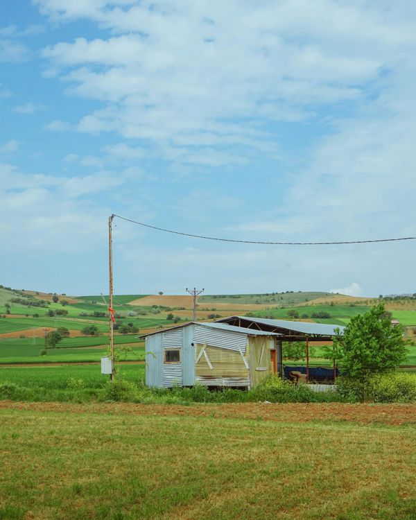Bayram'de 2.100 m² Bağ & Bahçe — Yol Kenarında
